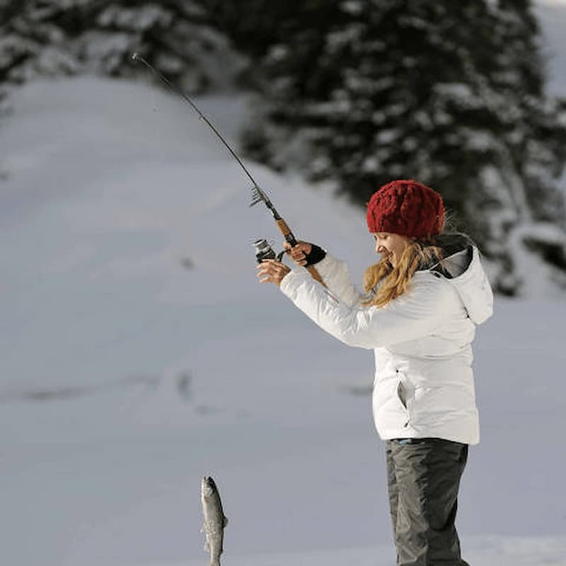 A look at ice fishing gambling game